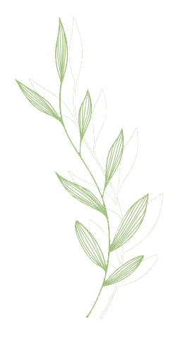 decorative leaves right