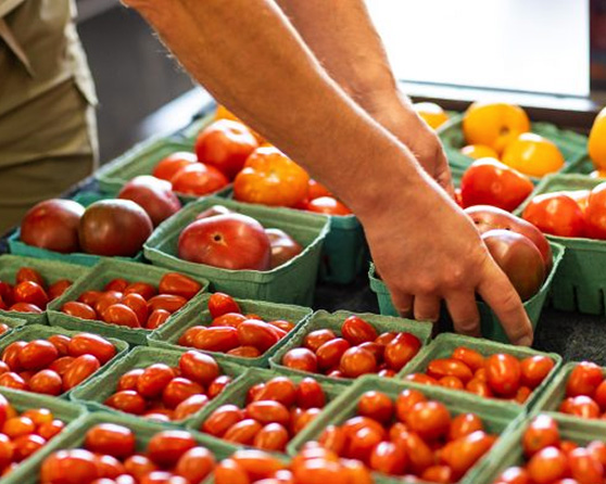 grainger county farm stands