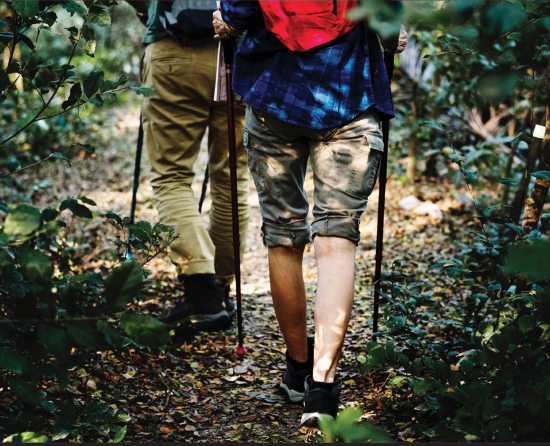hiking pather creek park